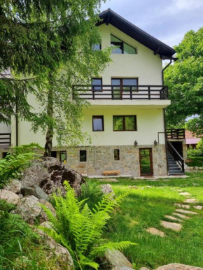 Bran Castle nearby villa - 8 Bedrooms